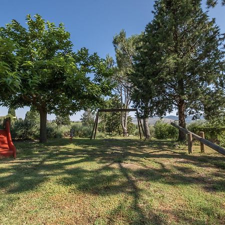 Podere La Montalla Радікофані Екстер'єр фото